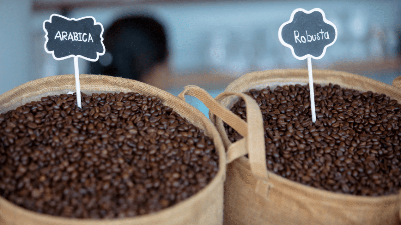 Arabica vs Robusta: What is the difference?